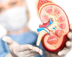 Homeopathy Treatment of Urology
