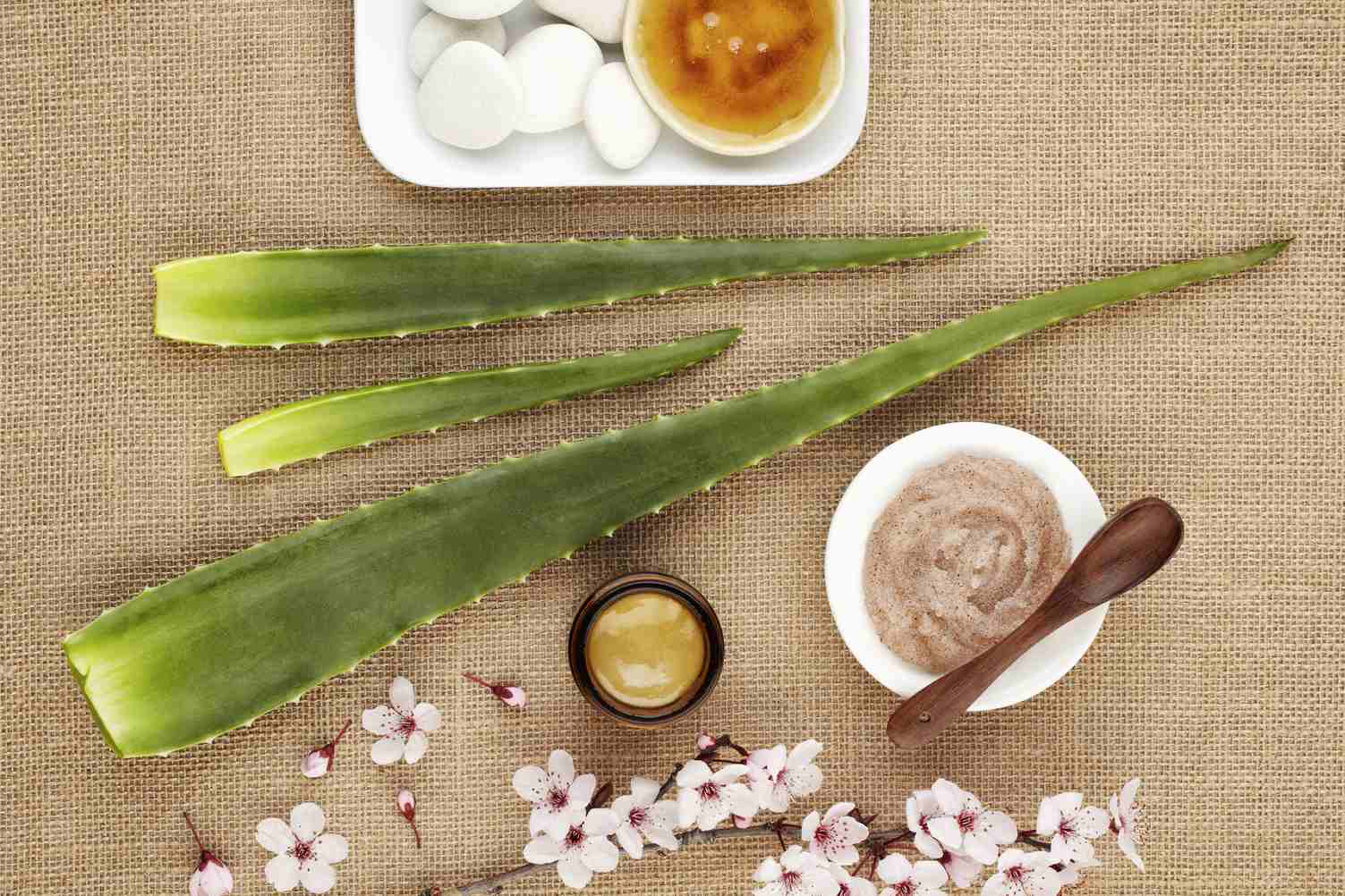 Top Home Remedies To Fight Skin Problem